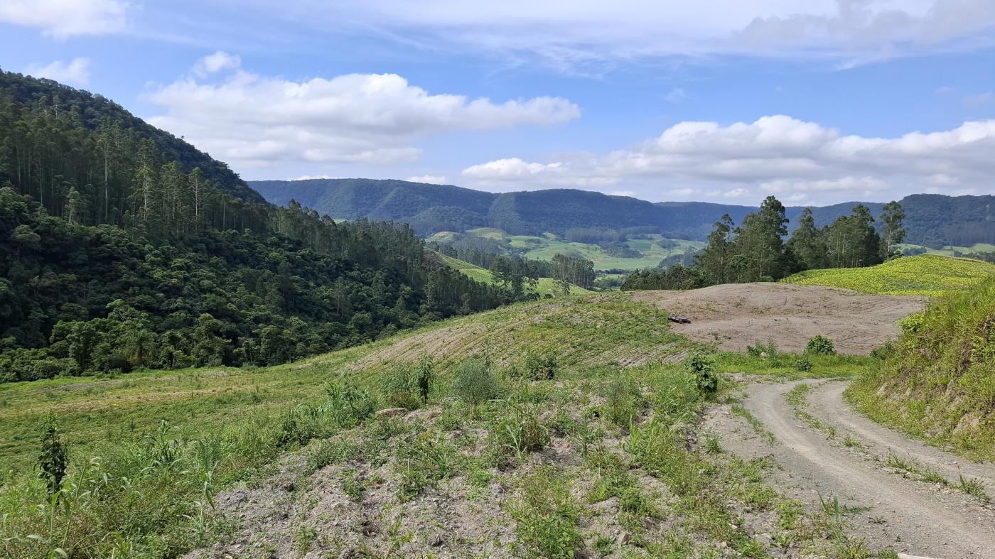 Sítio à venda com 5 quartos, 230000m² - Foto 38