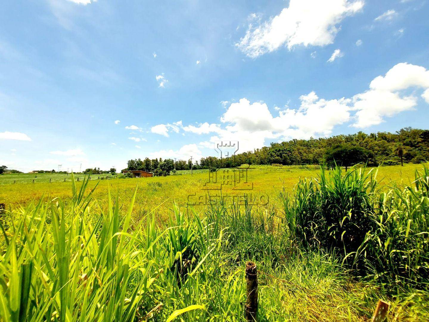 Chácara, 5000 m² - Foto 2