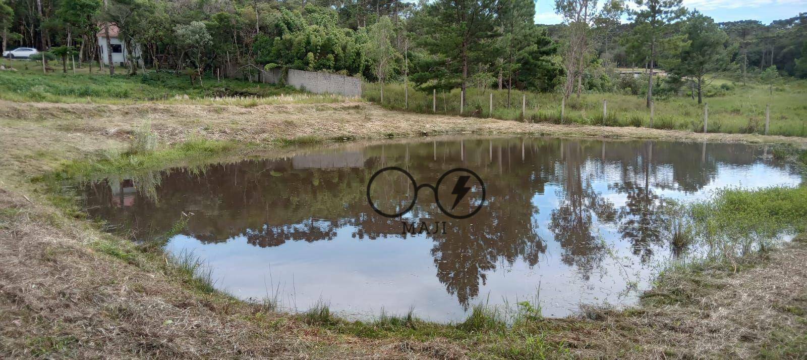 Chácara à venda, 3000M2 - Foto 3