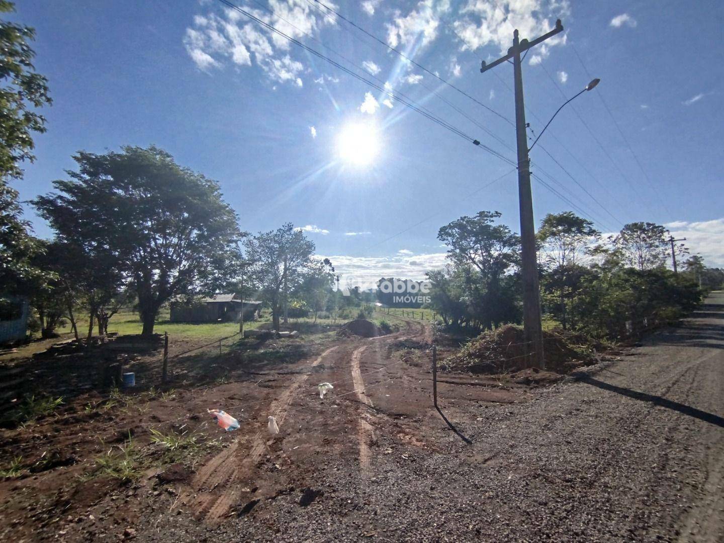 Chácara à venda com 2 quartos, 16000M2 - Foto 2