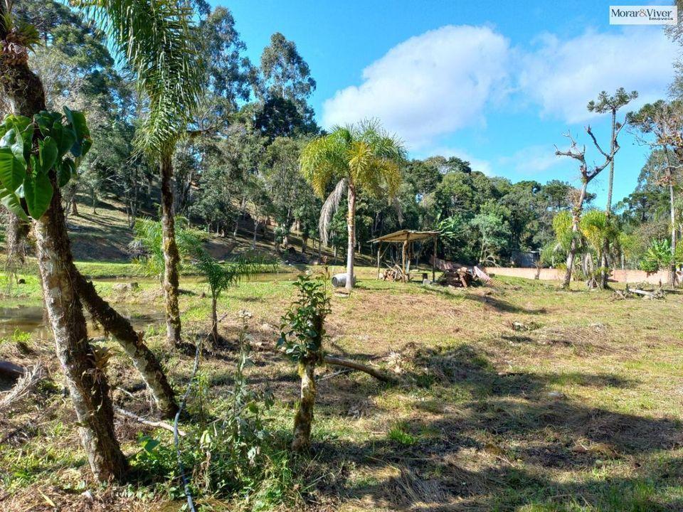 Fazenda à venda, 8000m² - Foto 13