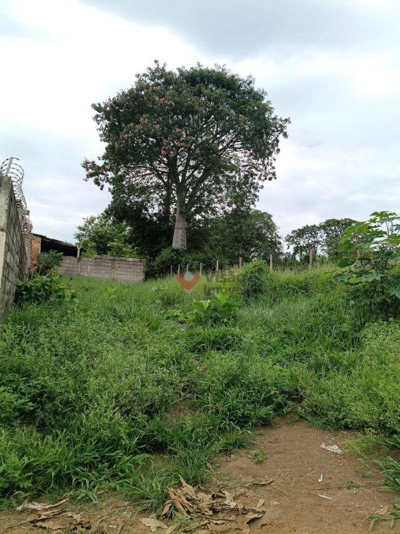 Terreno, 260 m² - Foto 2