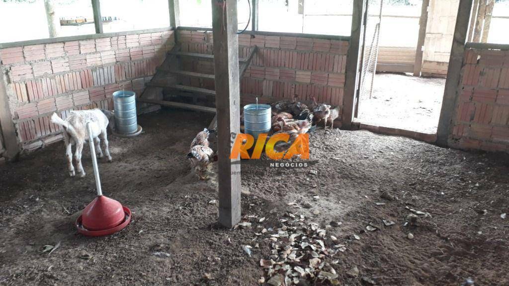 Chácara à venda com 3 quartos, 26000M2 - Foto 27