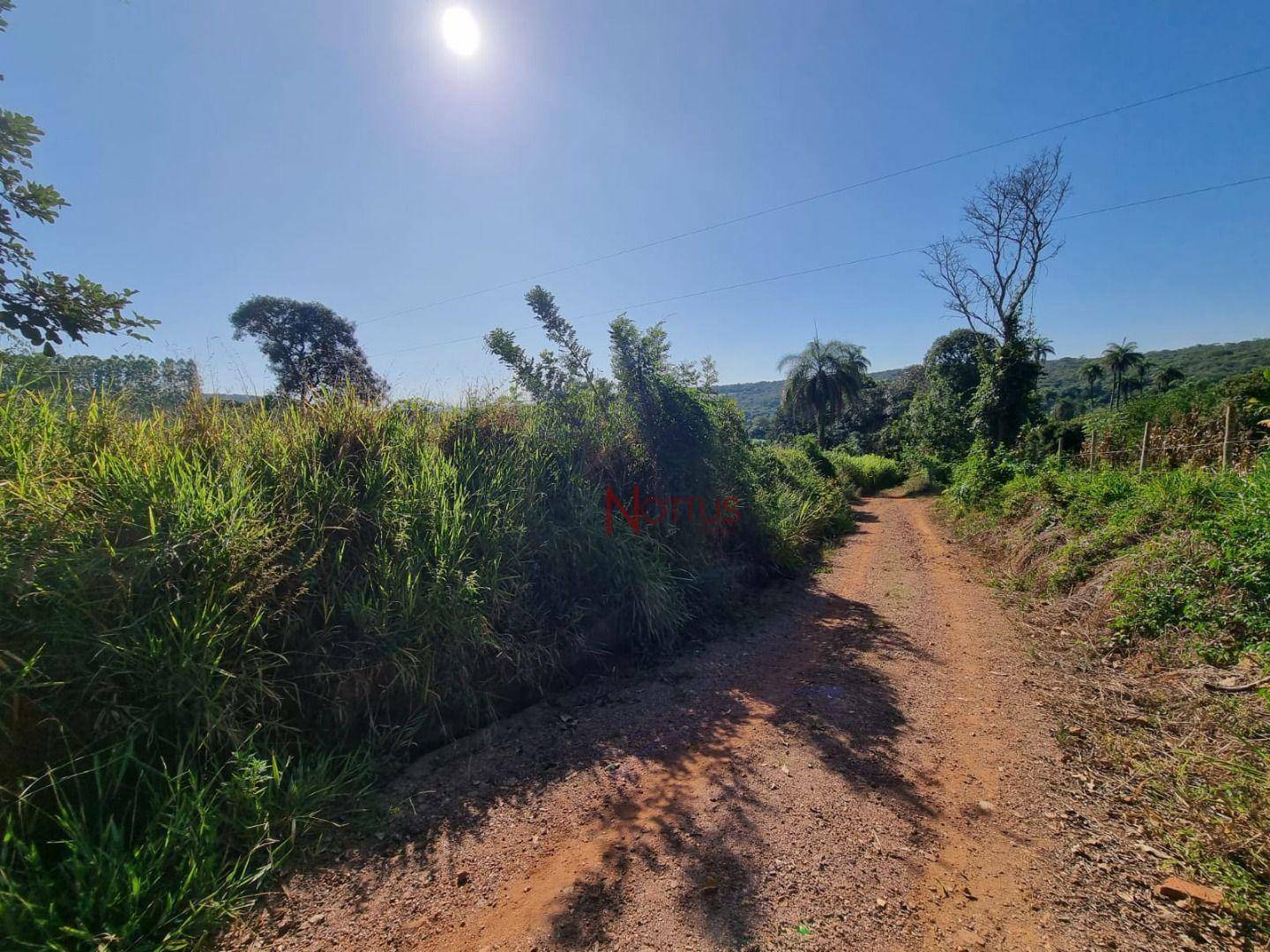 Terreno à venda, 1300M2 - Foto 1