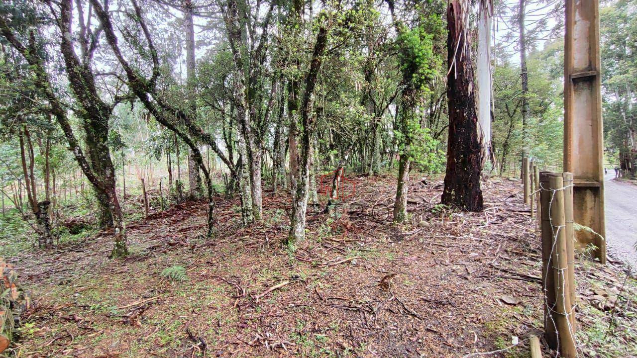 Terreno à venda, 1600M2 - Foto 7