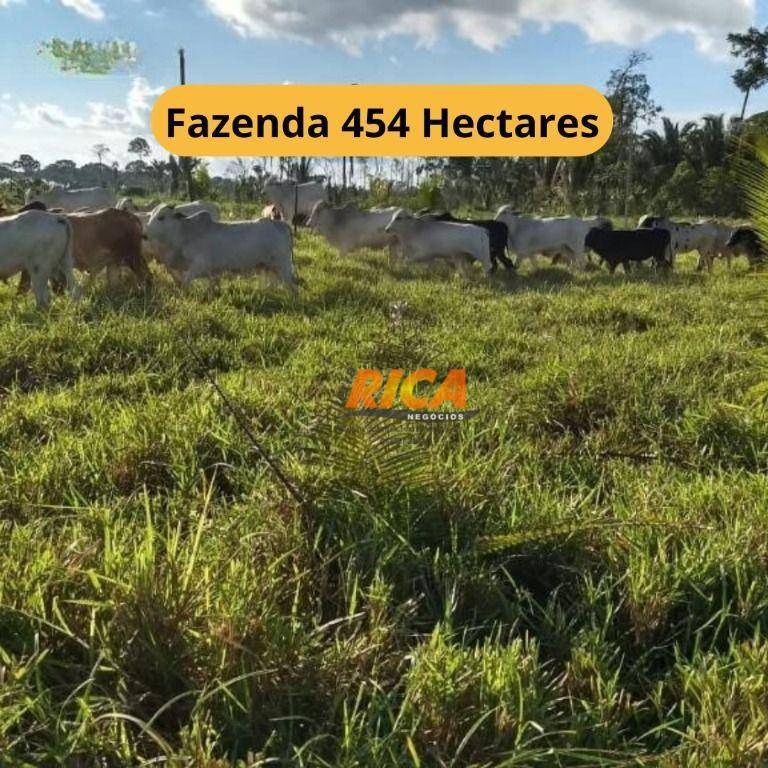Fazenda-Sítio-Chácara, 454 hectares - Foto 1