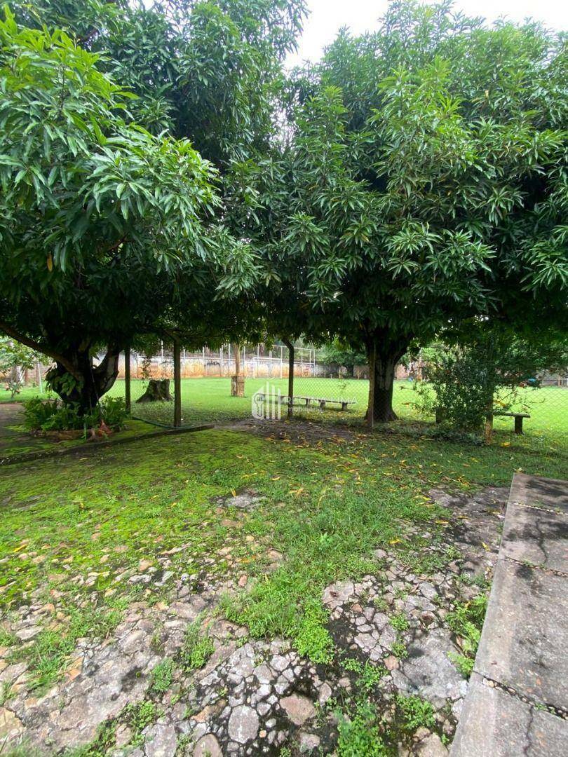 Sítio à venda com 4 quartos, 25600M2 - Foto 16