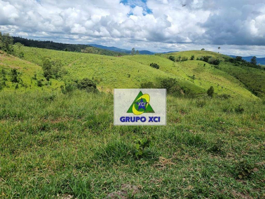 Fazenda-Sítio-Chácara, 250 hectares - Foto 9