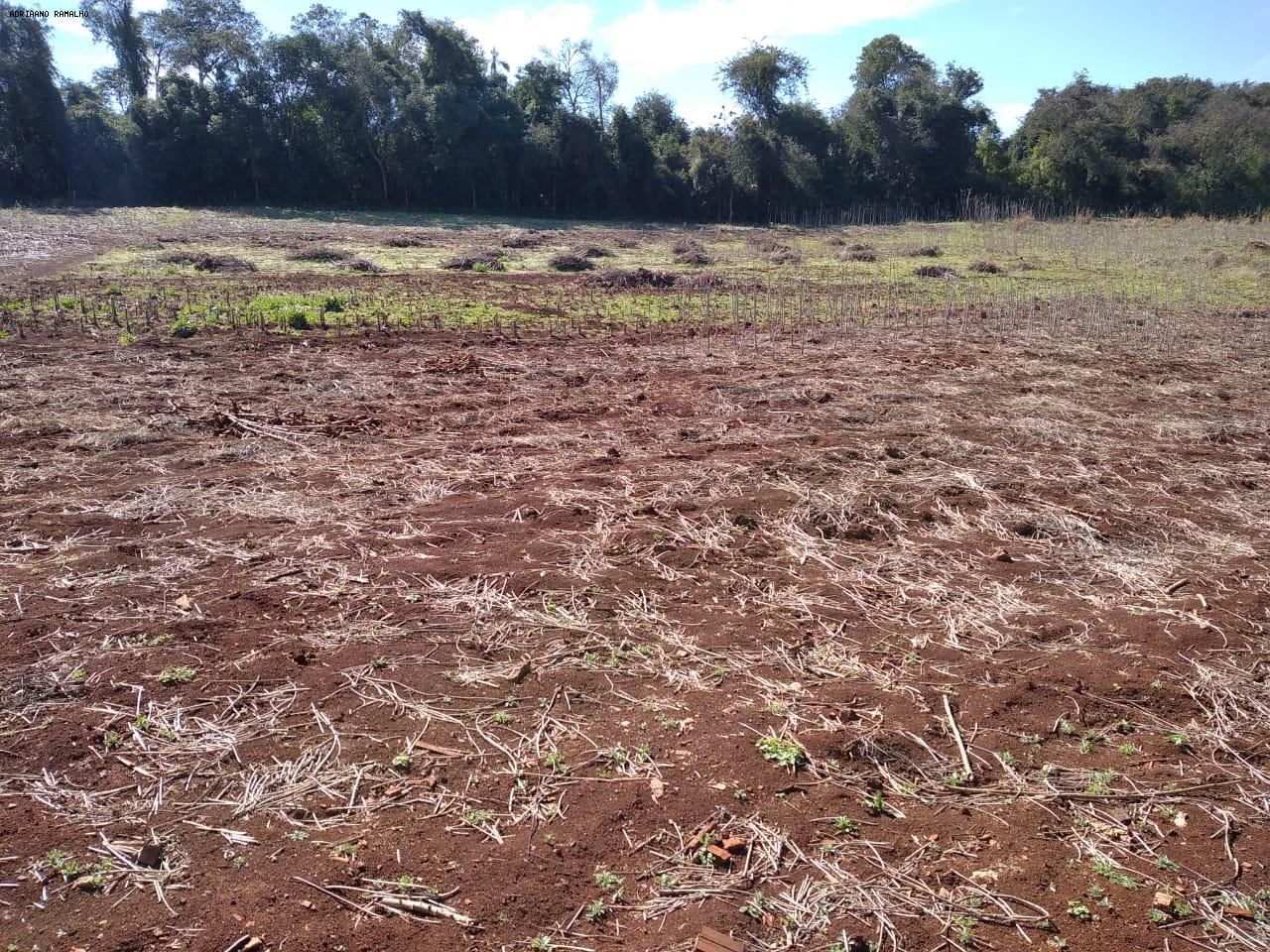 Fazenda para alugar com 3 quartos, 20000m² - Foto 17