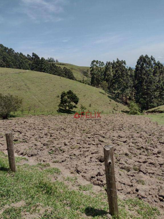 Fazenda-Sítio-Chácara, 140 hectares - Foto 1