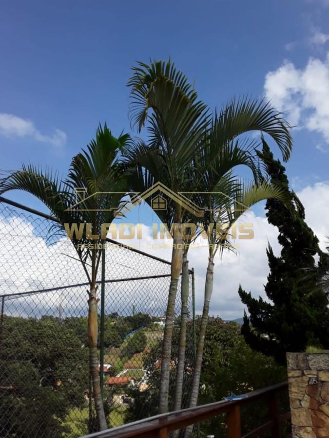 Chácara à venda com 4 quartos, 2000m² - Foto 36