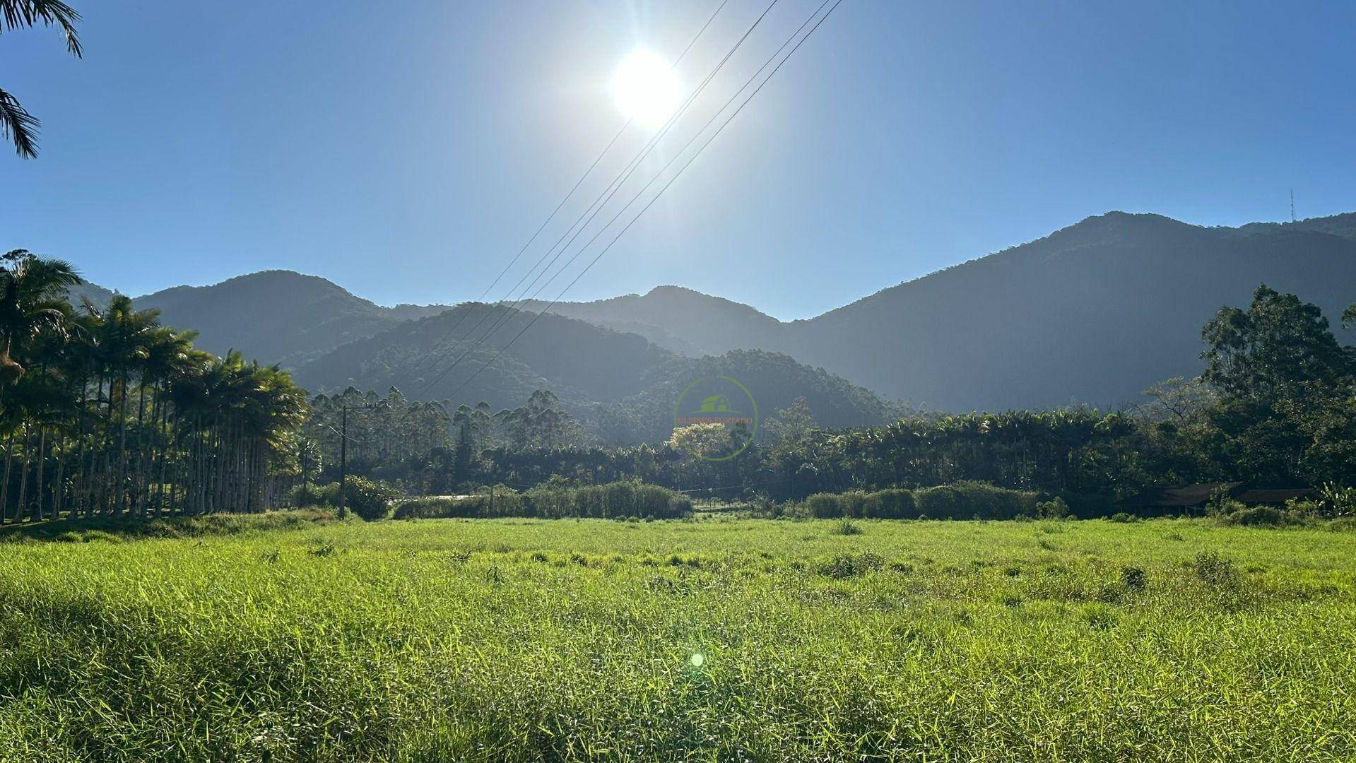 Sítio, 19 hectares - Foto 33