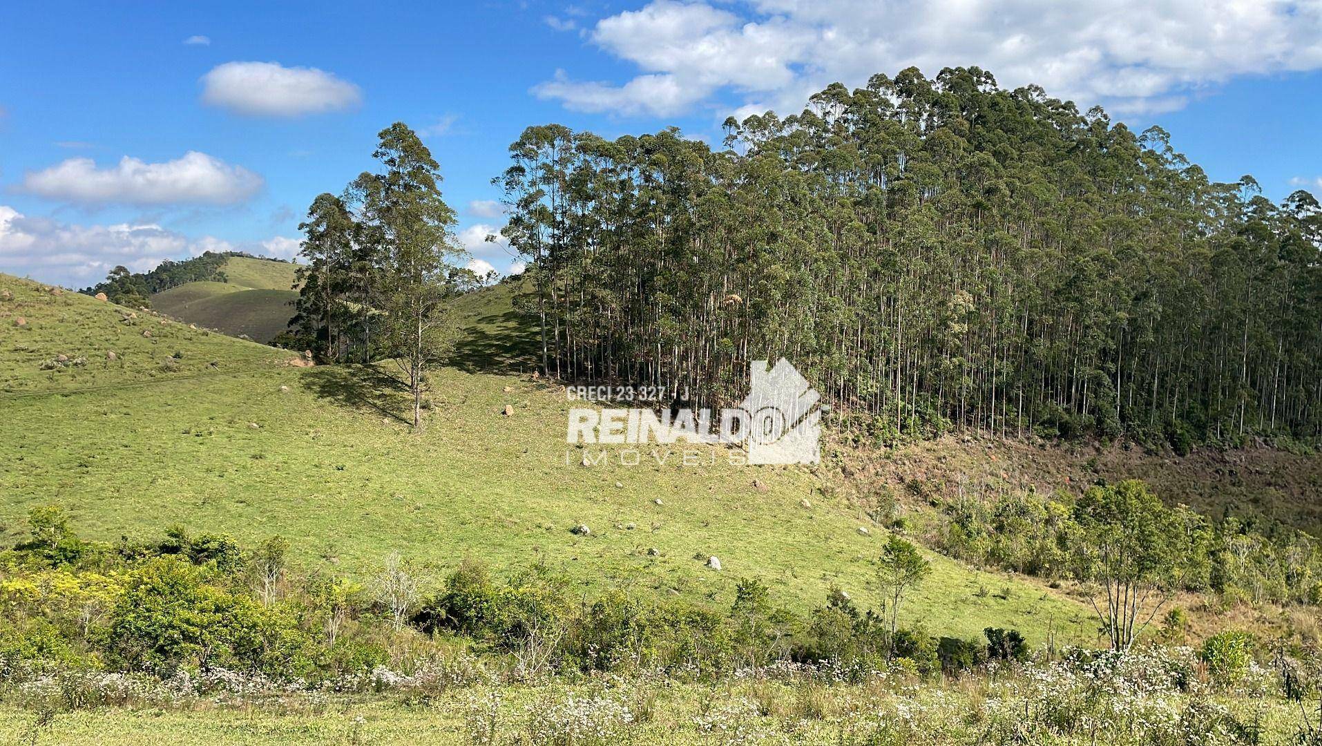 Fazenda à venda com 8 quartos, 900m² - Foto 46