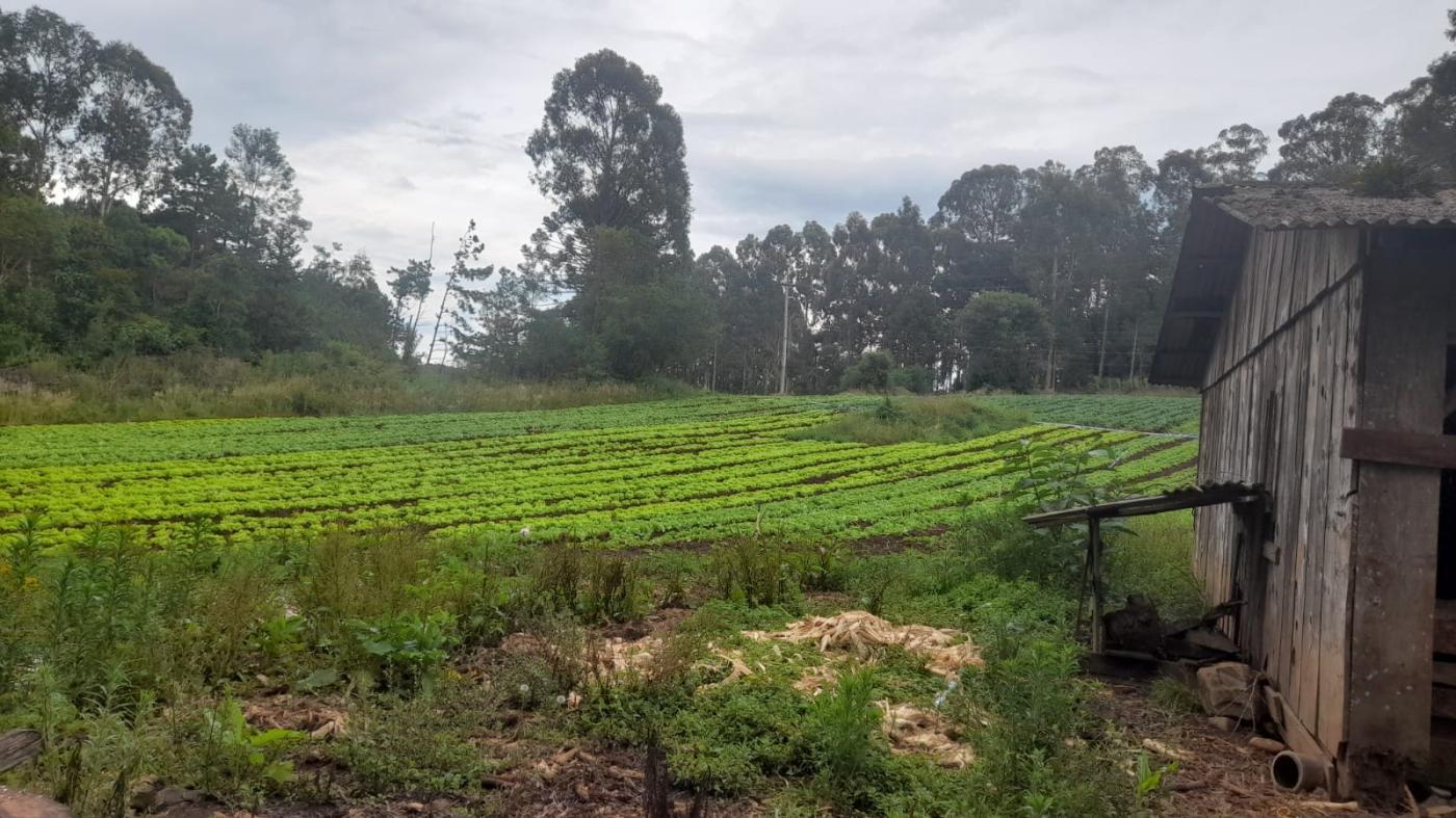 Fazenda à venda, 21m² - Foto 13