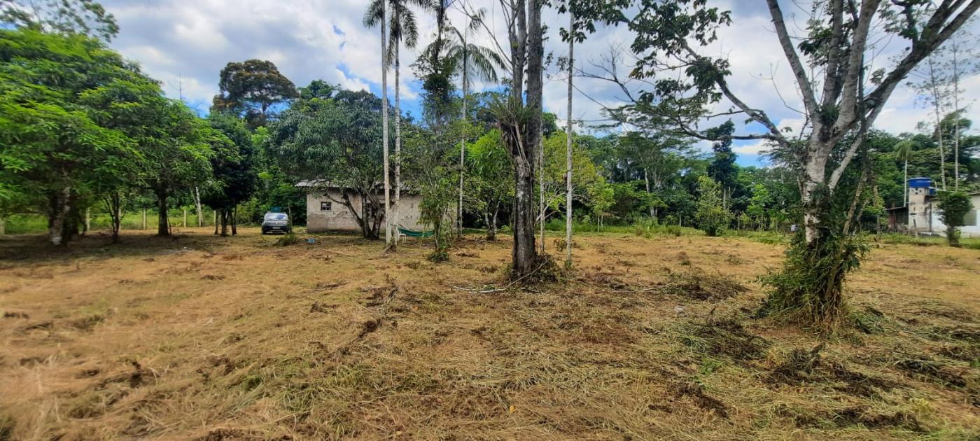 Fazenda à venda com 2 quartos, 3500m² - Foto 14