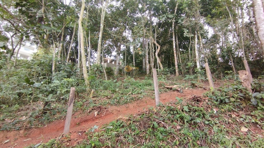 Terreno à venda, 487m² - Foto 3