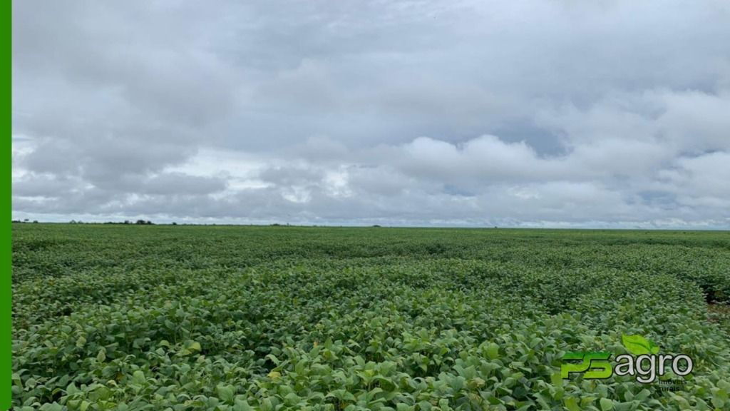 Fazenda à venda, 43530000M2 - Foto 2