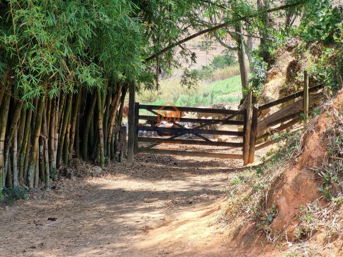 Fazenda à venda com 3 quartos, 1029126m² - Foto 20