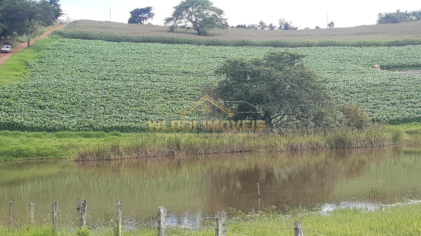 Fazenda à venda, 13m² - Foto 7