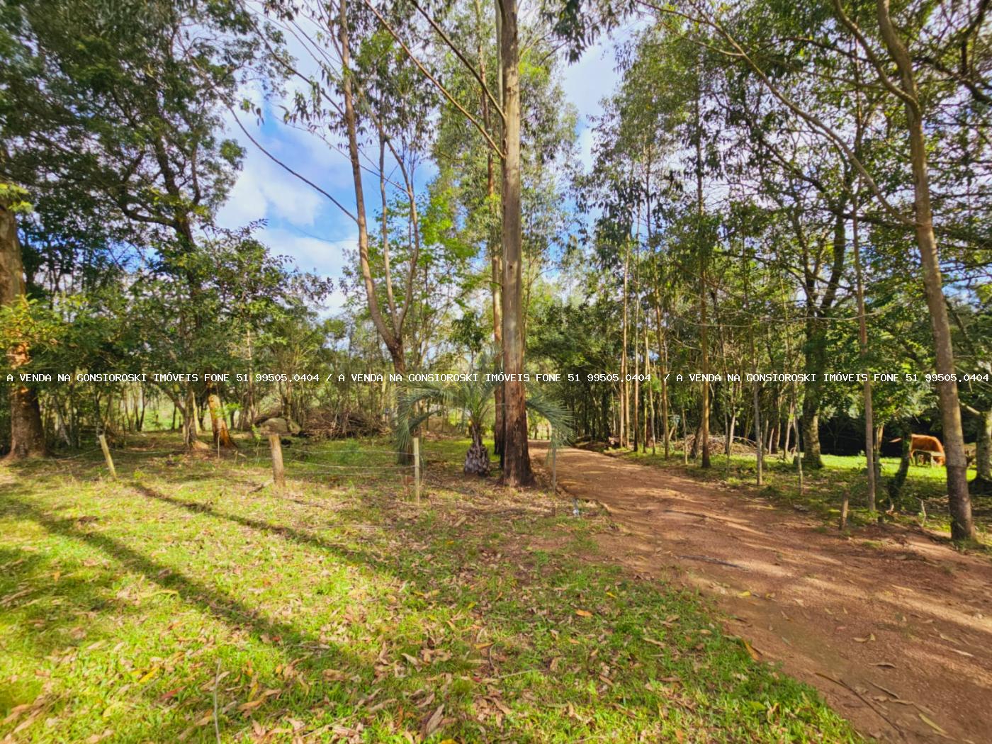 Sítio à venda, 30000m² - Foto 29