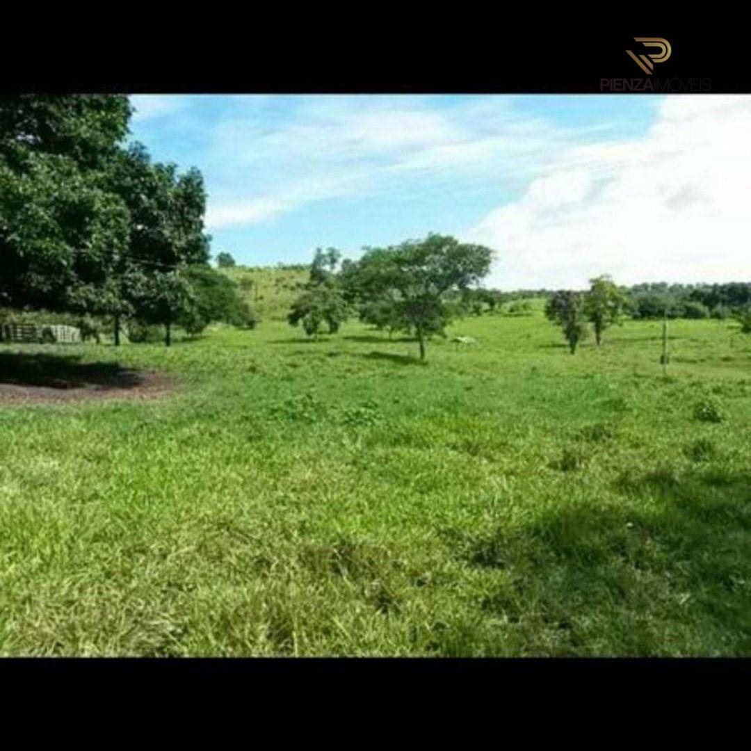 Fazenda-Sítio-Chácara, 103 hectares - Foto 4