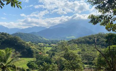 Fazenda à venda com 2 quartos, 50000m² - Foto 11