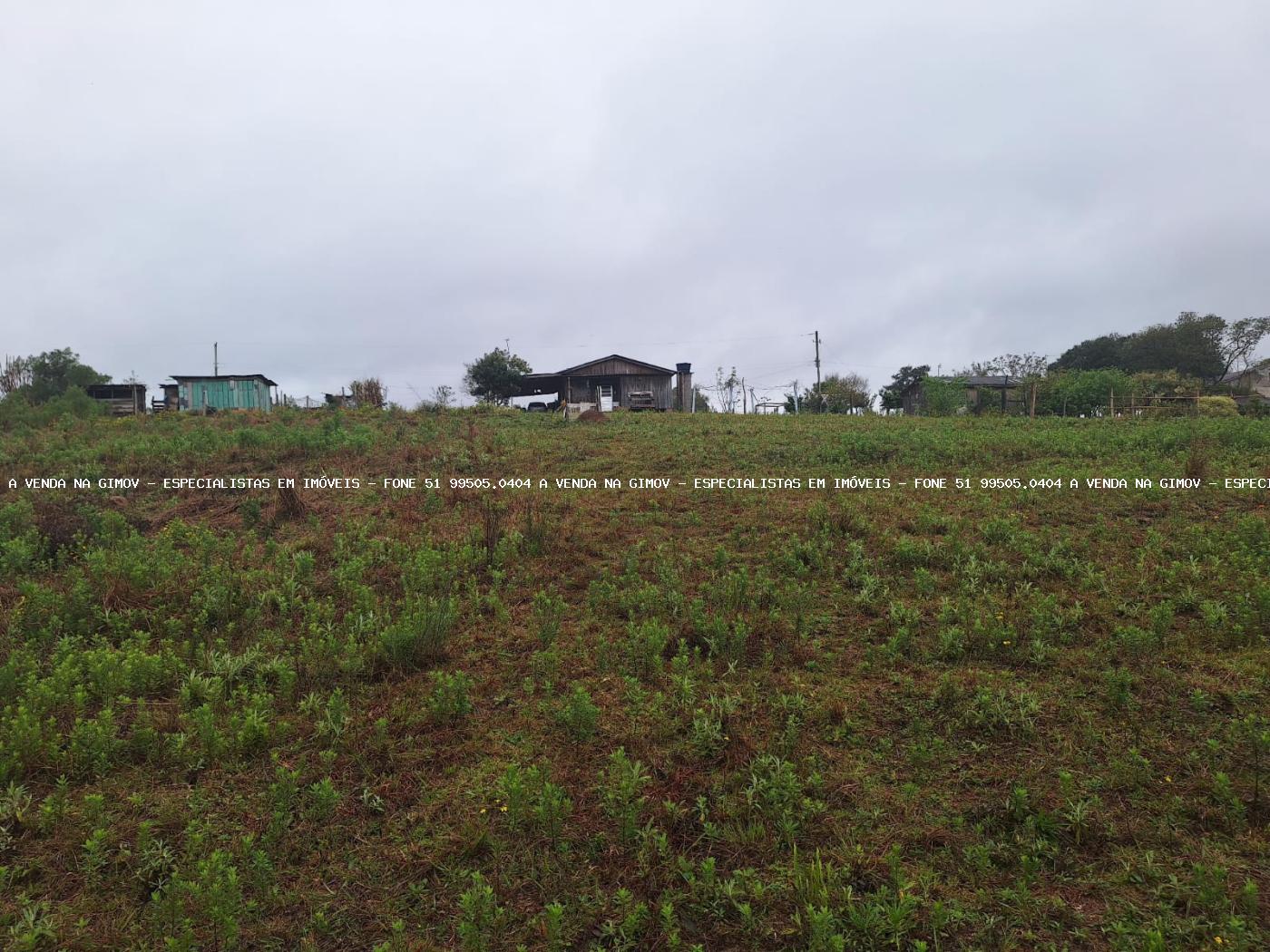 Fazenda à venda, 10000m² - Foto 15