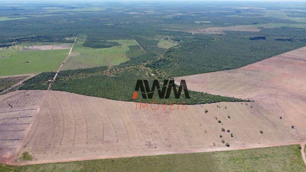 Fazenda-Sítio-Chácara, 3291 hectares - Foto 7