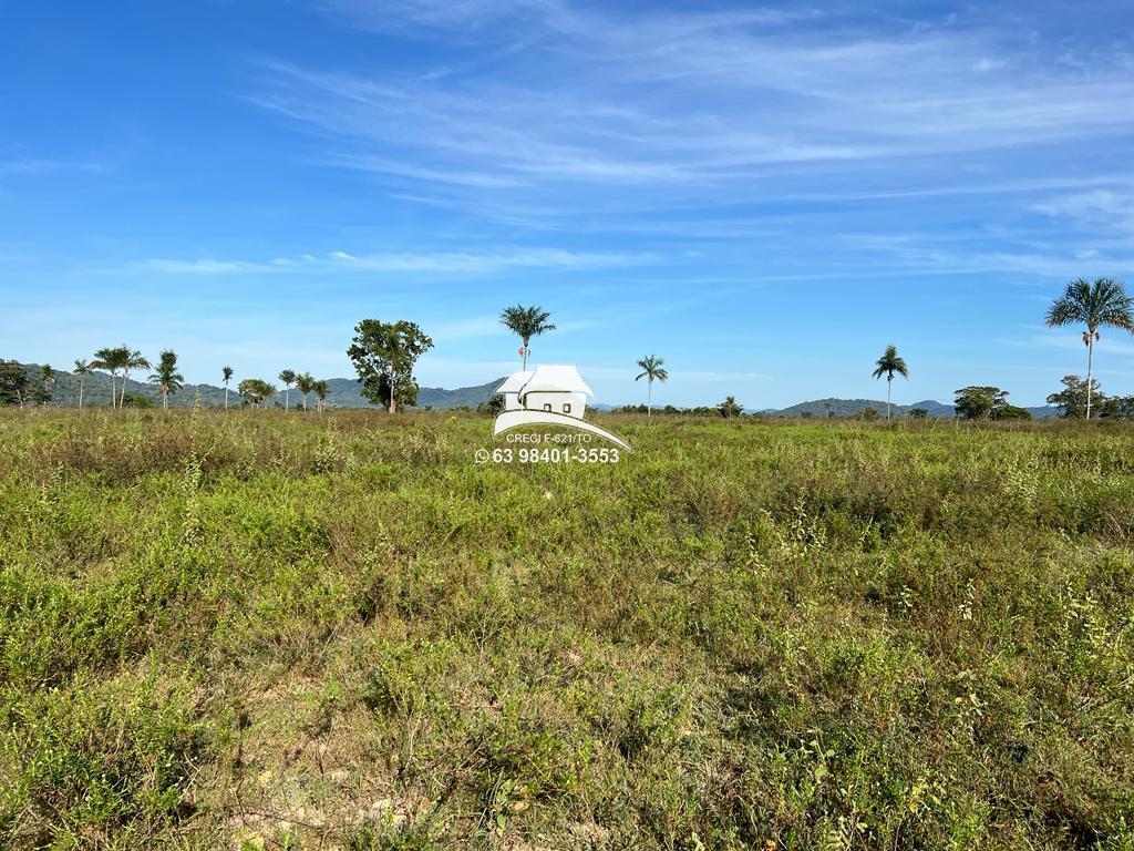 Fazenda à venda, 1m² - Foto 6
