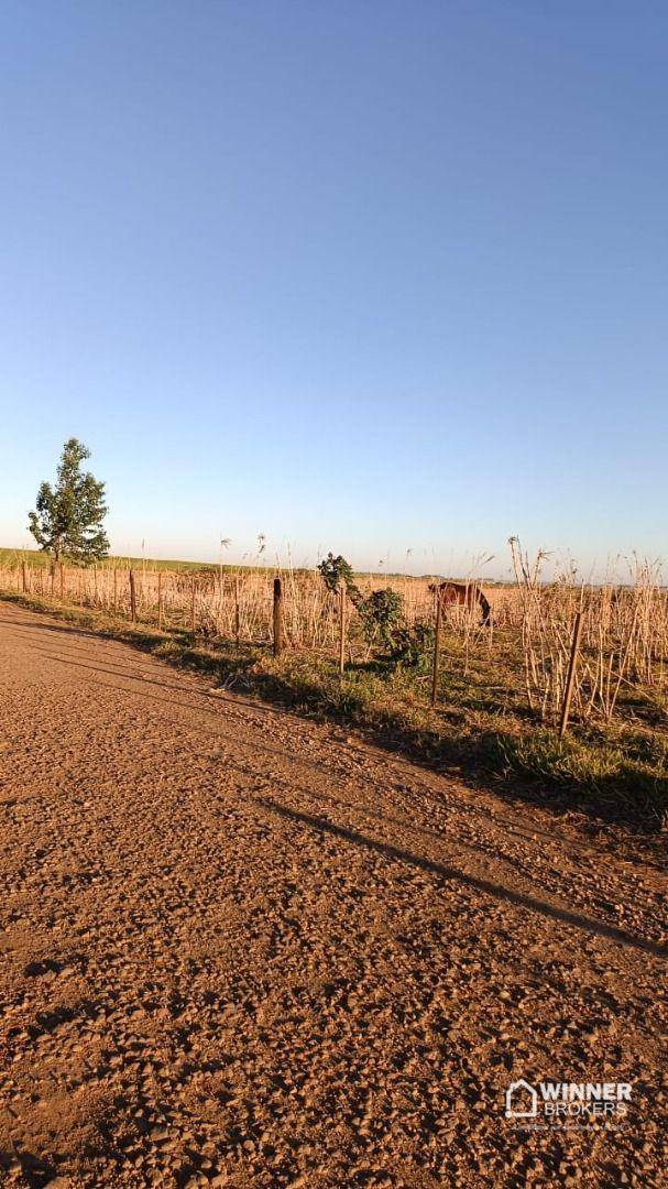 Chácara, 2 hectares - Foto 3