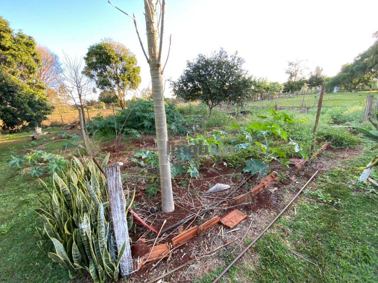 Chácara à venda com 4 quartos, 187m² - Foto 26