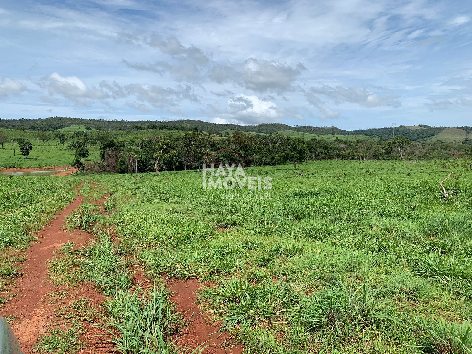 Fazenda-Sítio-Chácara, 113740 hectares - Foto 4