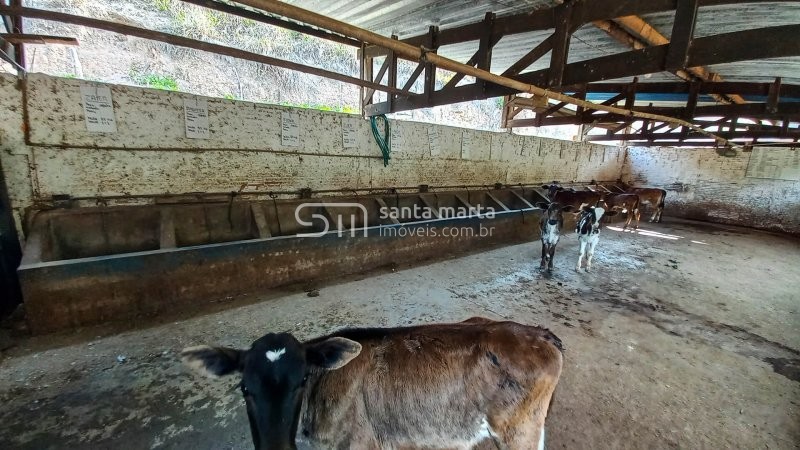 Fazenda à venda com 3 quartos, 1m² - Foto 13