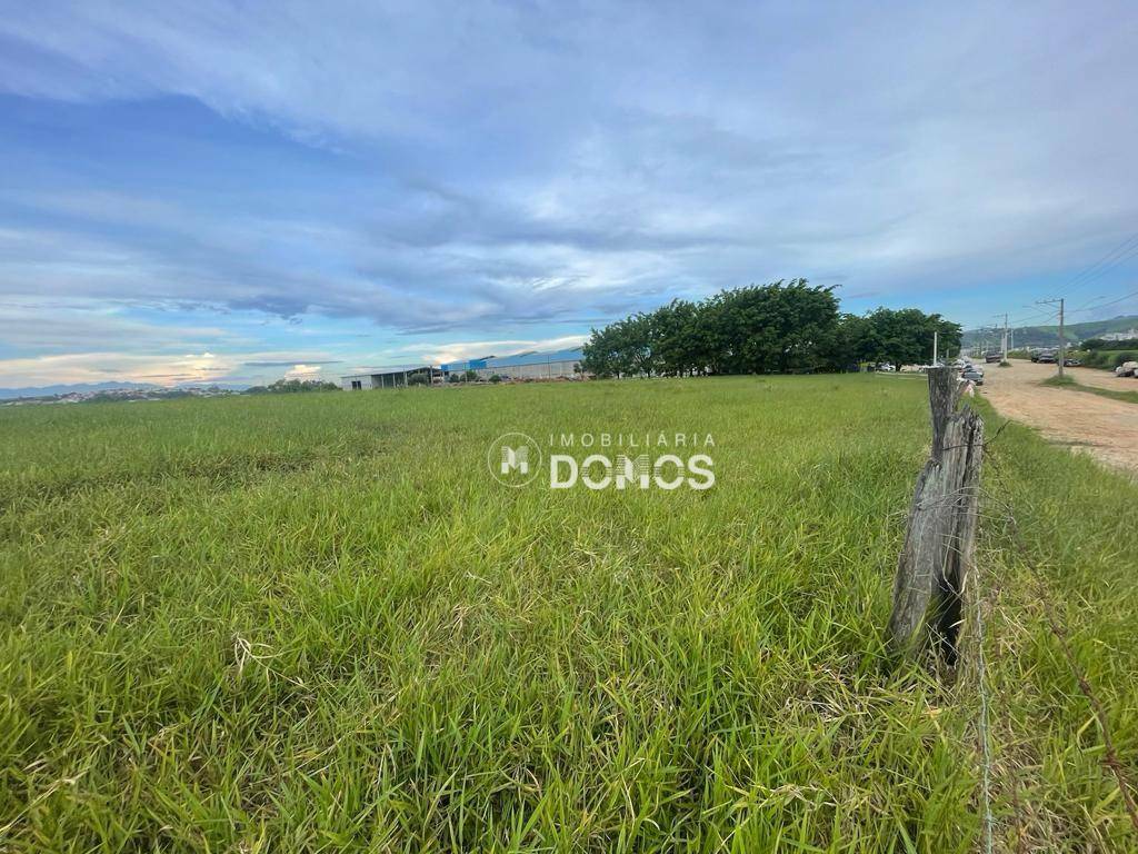 Terreno à venda, 2000M2 - Foto 2