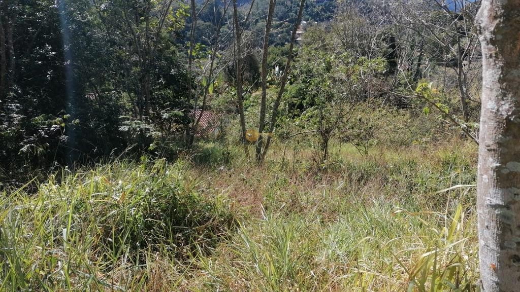 Sítio à venda com 2 quartos, 2500m² - Foto 9