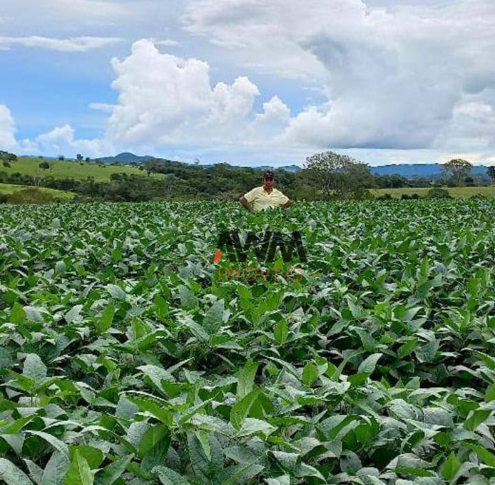 Fazenda à venda, 1887600M2 - Foto 9