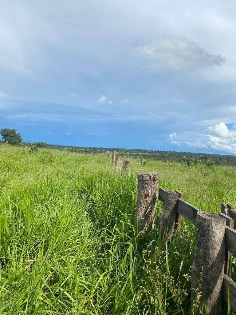 Fazenda à venda, 4840000M2 - Foto 8