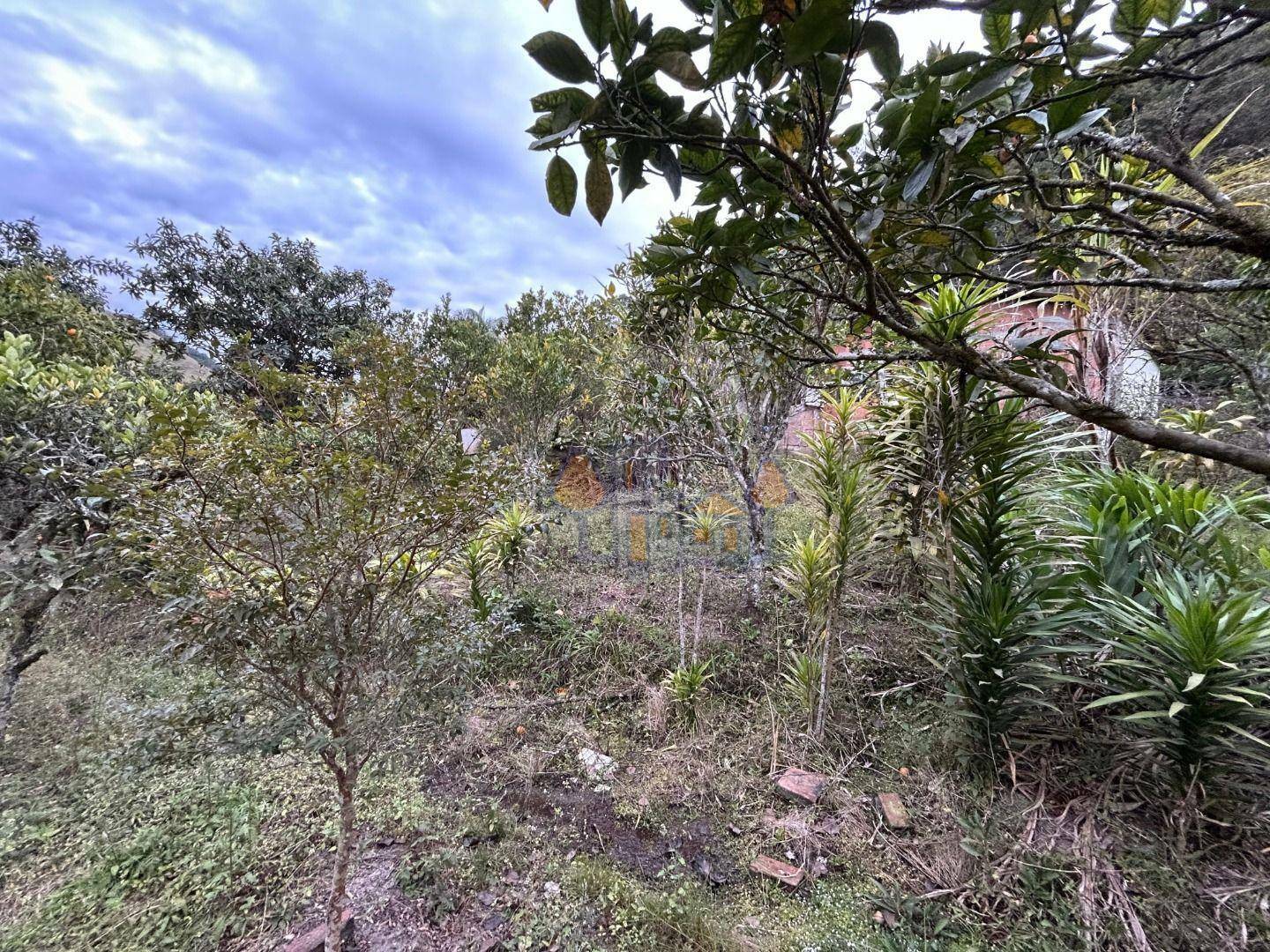 Chácara à venda com 1 quarto, 70m² - Foto 24