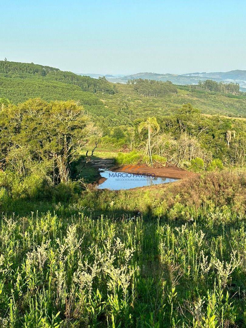 Fazenda à venda, 1065000M2 - Foto 28