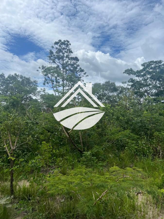 Fazenda à venda, 1m² - Foto 11