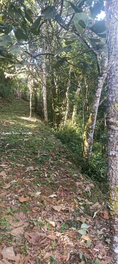 Terreno, 2 hectares - Foto 16