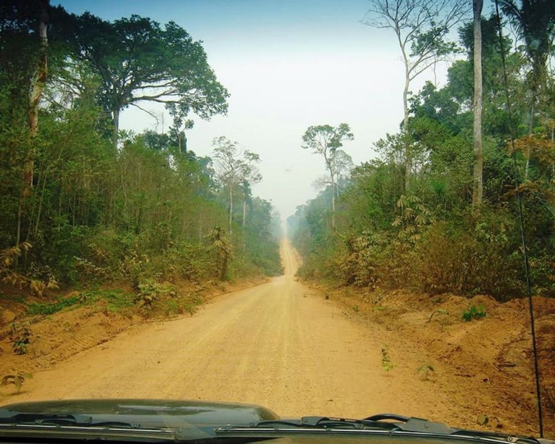 Fazenda-Sítio-Chácara - Foto 4