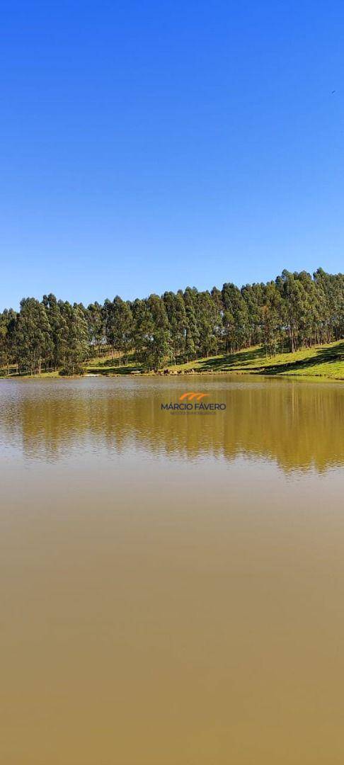 Fazenda, 289 hectares - Foto 3