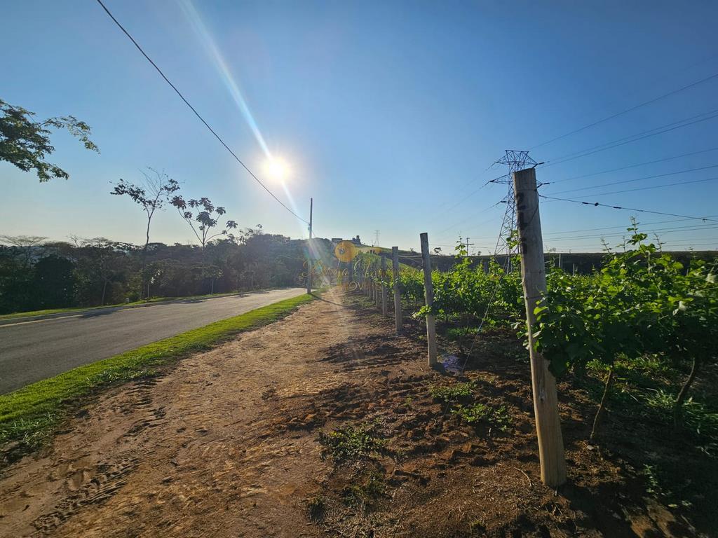 Terreno à venda, 1000m² - Foto 11