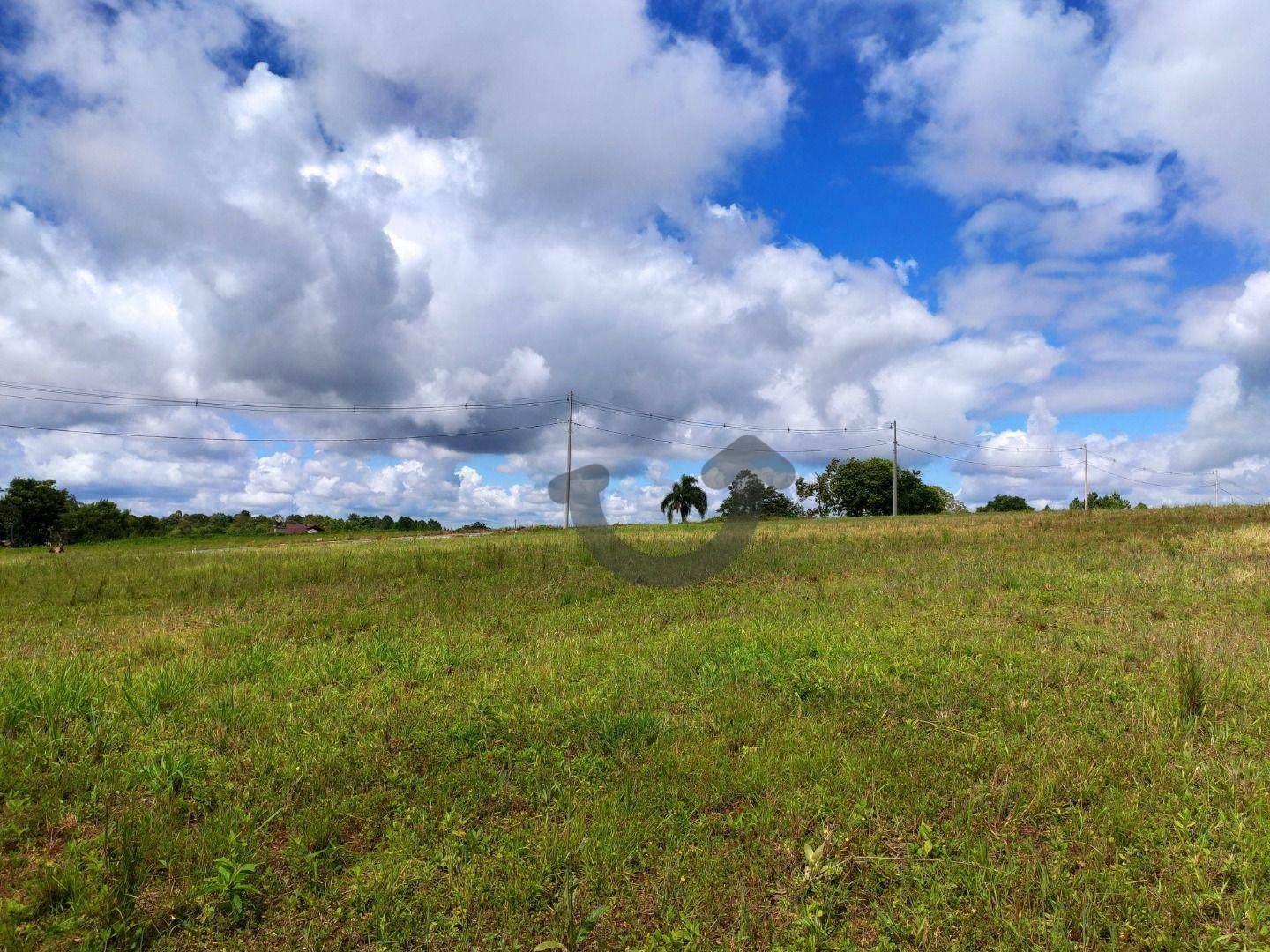 Terreno à venda, 313M2 - Foto 3