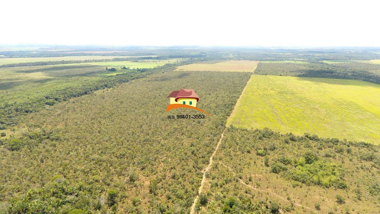 Fazenda, 387 hectares - Foto 1
