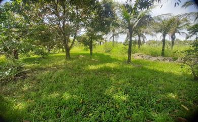 Sítio à venda com 5 quartos, 70000m² - Foto 18