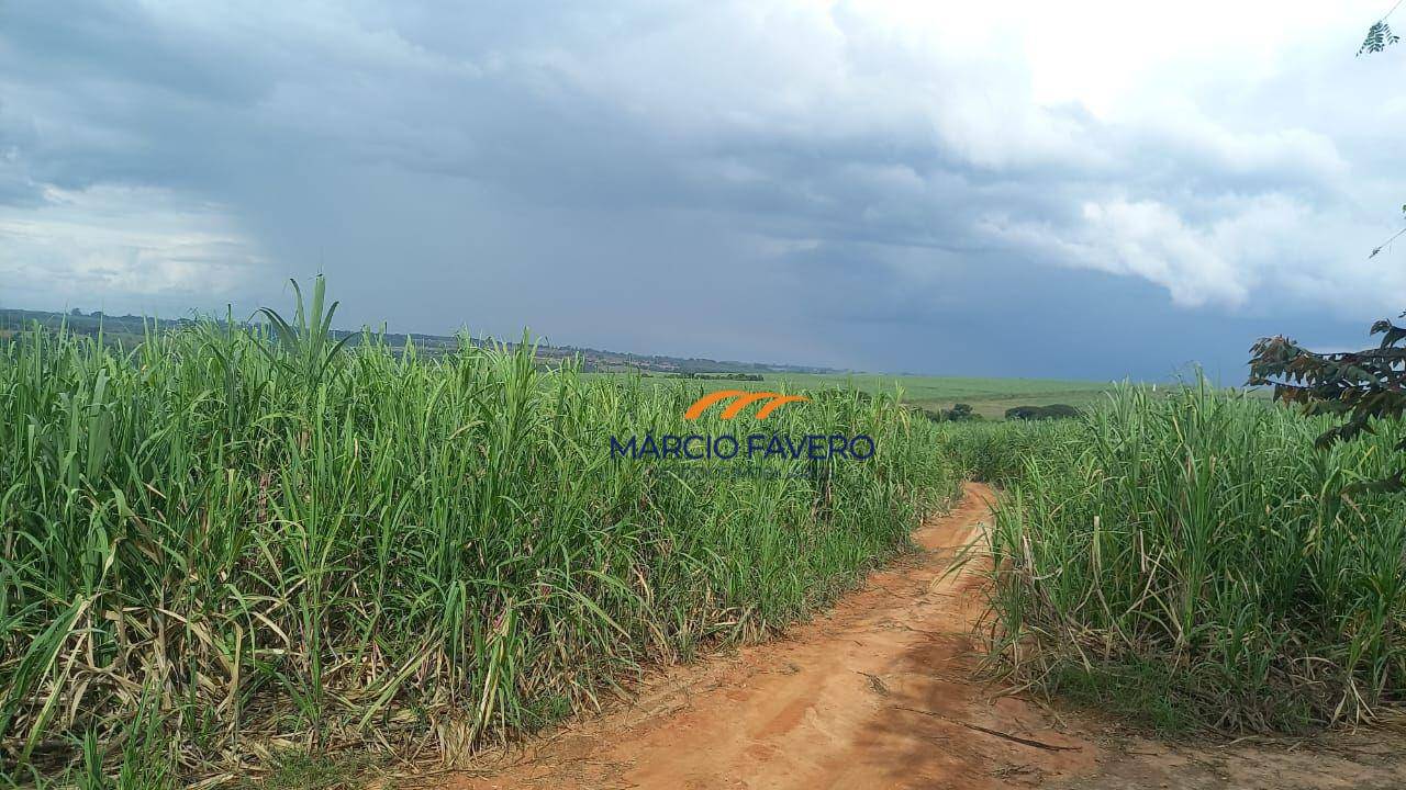 Fazenda, 213 hectares - Foto 2