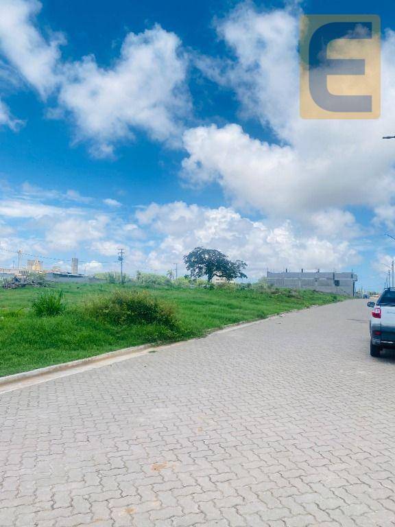 Terreno, 250 m² - Foto 8