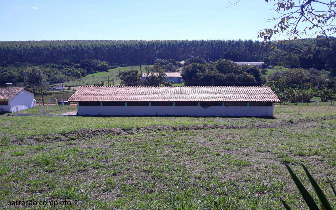 Sítio à venda com 7 quartos, 16600m² - Foto 11